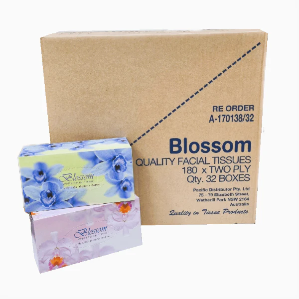 Blossom Facial Tissues 2 Ply 180 Sheets X 32 Boxes - Image 3